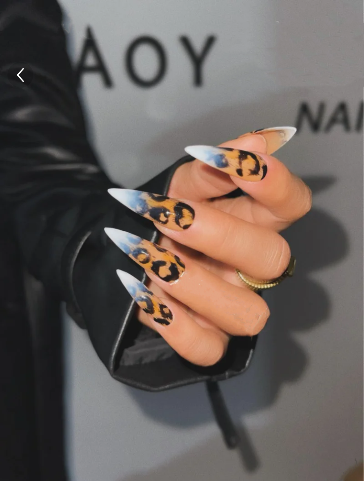 M0002-WILD POWER Press-on Nails