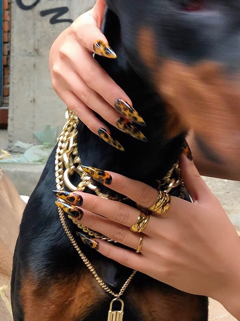 M0002-WILD  POWER  Press-on Nails