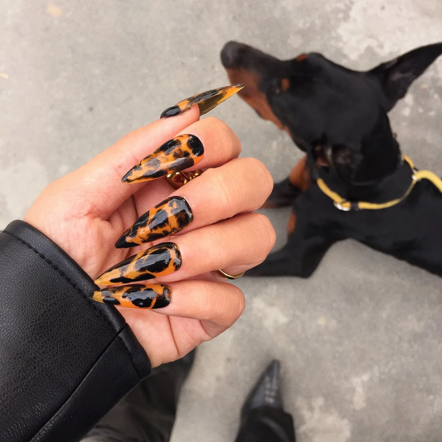 M0002-WILD  POWER  Press-on Nails